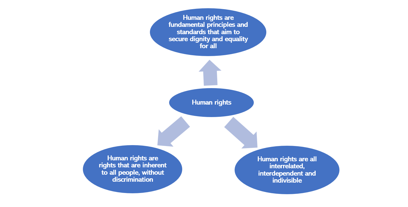 Why Business and Human Rights